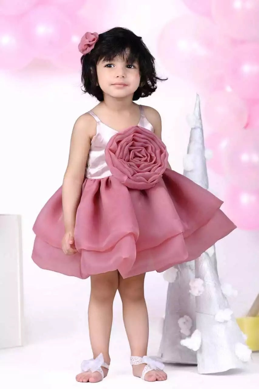 Princess Girl's Organza Frock