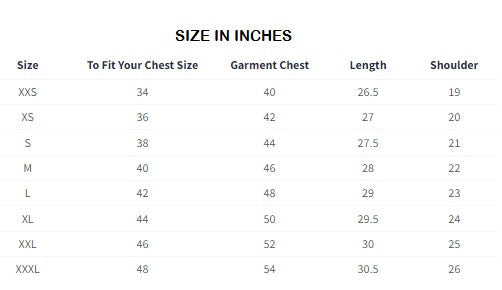 HTTYD Shadow Wings Oversized T-Shirts