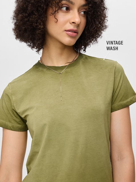Solids Fern Green Women T-Shirts