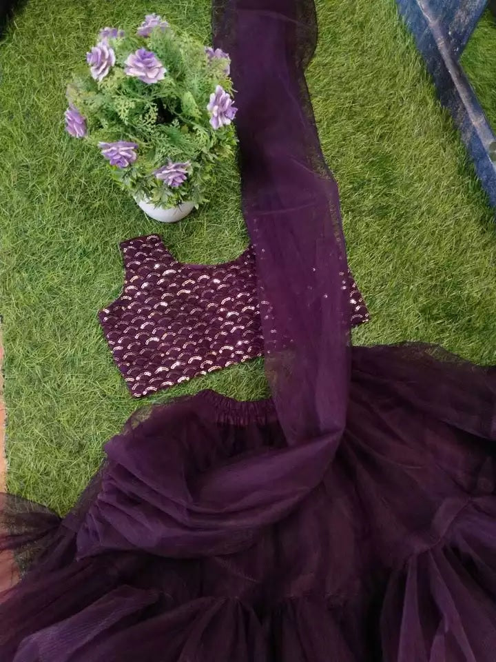 Heavy Net Full Flair Lehenga Dress