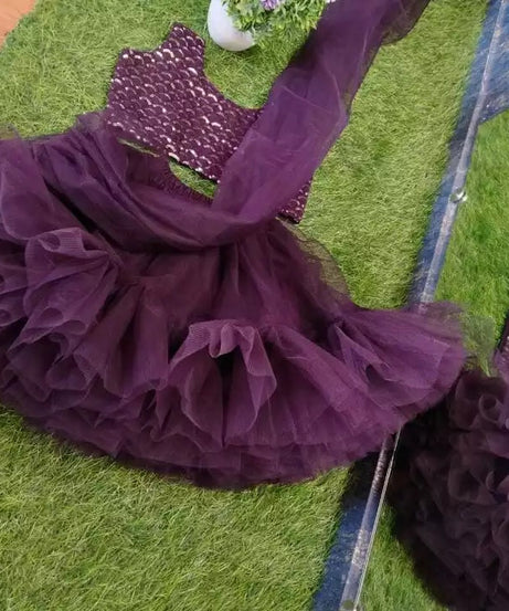 Heavy Net Full Flair Lehenga Dress