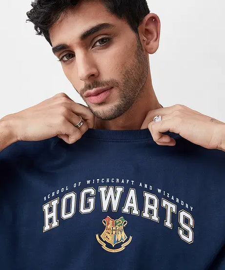 Harry Potter Hogwarts 07 Oversized T-Shirts