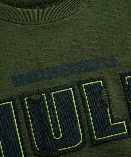Hulk Gamma Fury Oversized T-Shirts