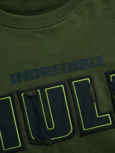 Hulk Gamma Fury Oversized T-Shirts