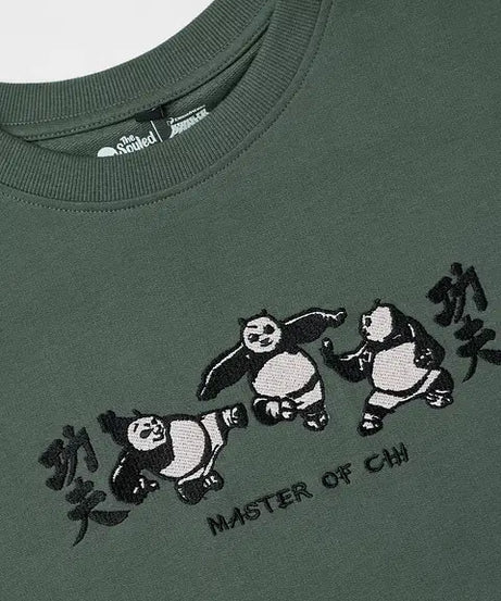Kung Fu Panda Master Oversized T-Shirts