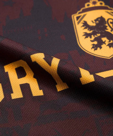 Harry Potter Gryffindor Women Oversized Jerseys