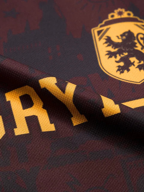 Harry Potter Gryffindor Women Oversized Jerseys