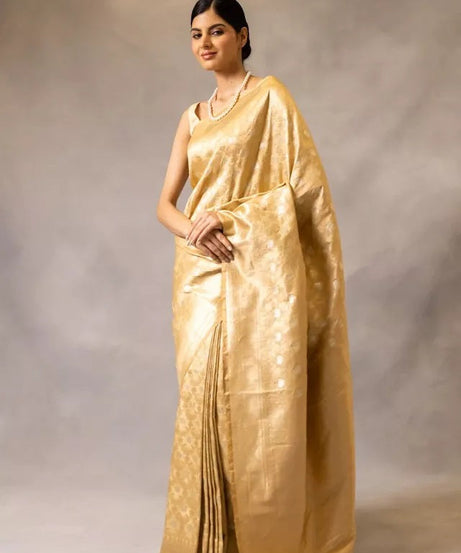 Banarasi Soft Silk Sari With Blouse