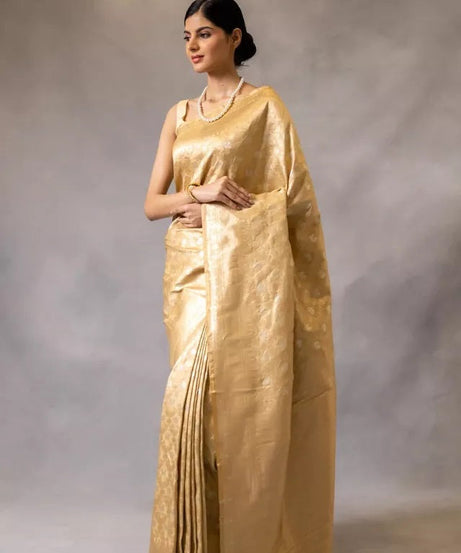 Banarasi Soft Silk Sari With Blouse