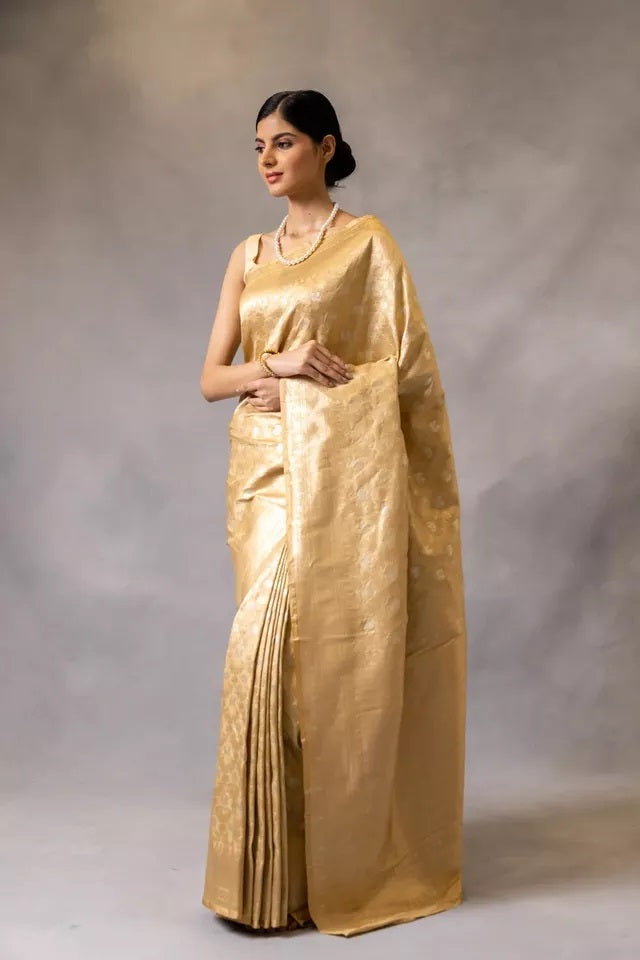Banarasi Soft Silk Sari With Blouse
