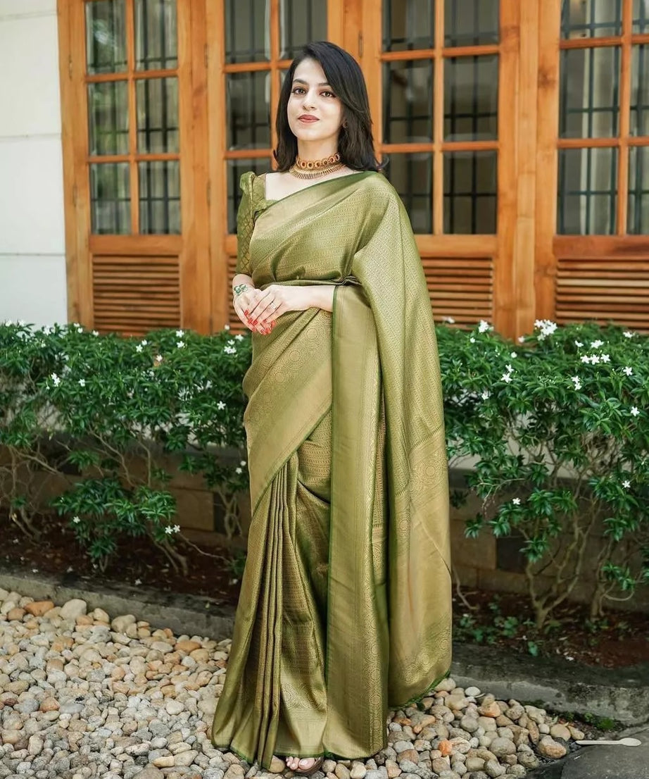 PartyWear Fancy Saree, Ethnic Function Style Sari & Blouse