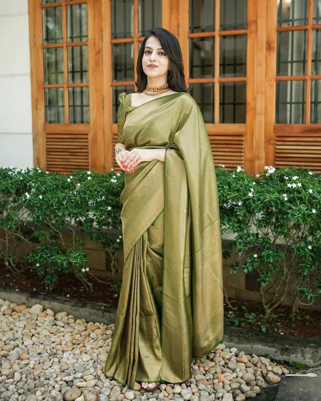 PartyWear Fancy Saree, Ethnic Function Style Sari & Blouse