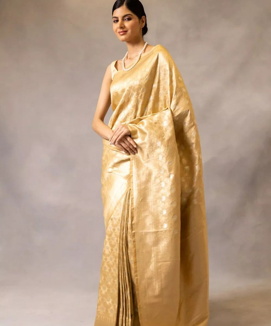 Banarasi Soft Silk Traditional Saree , Designer Party Wear Saree & Blouse