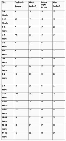 Heavy Net Full Flair Lehenga Dress