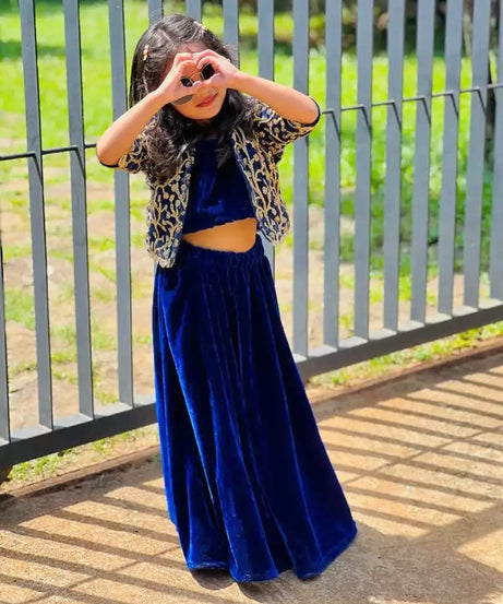 Velvet Lehenga Choli With Embroidery Work Choli