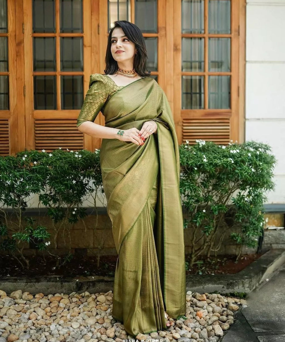 PartyWear Fancy Saree, Ethnic Function Style Sari & Blouse