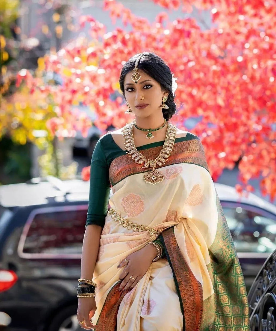 Classic Banarasi Soft Silk Saree, Fancy Wedding Sari & Blouse