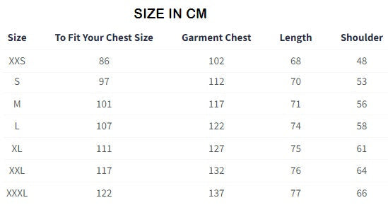 Kung Fu Panda Master Of Chi Oversized T-Shirts