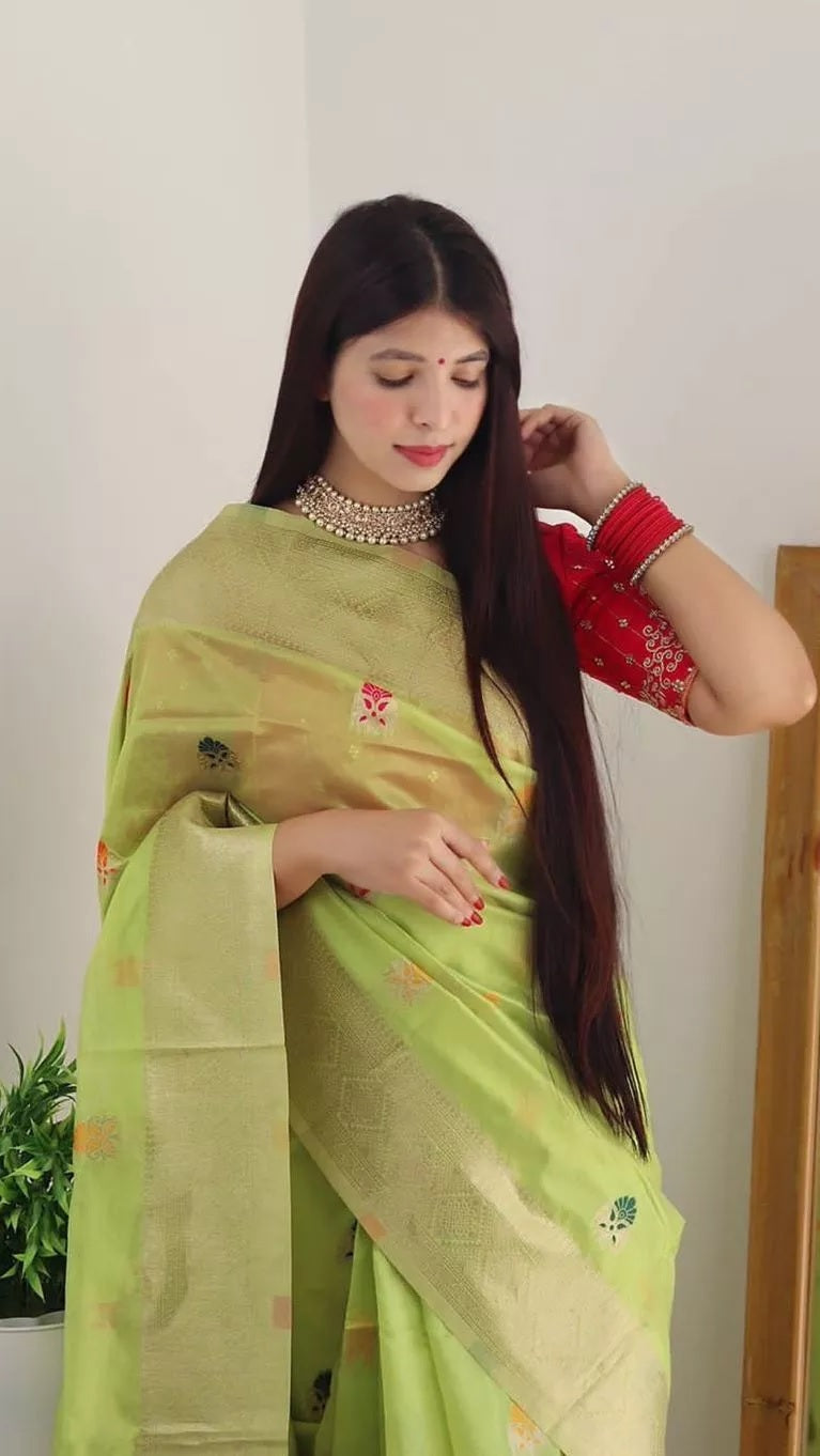 Soft Organza Jacquard Saree,Function Wedding Sari With Blouse