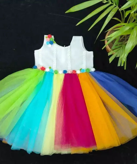 Heavy Net Multi Color Dress