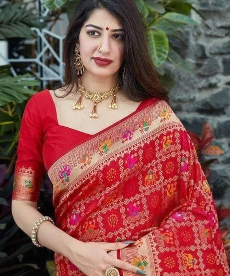 Festive Banarasi Silk Saree with Contrasting Border and Pallu Sari & Blouse