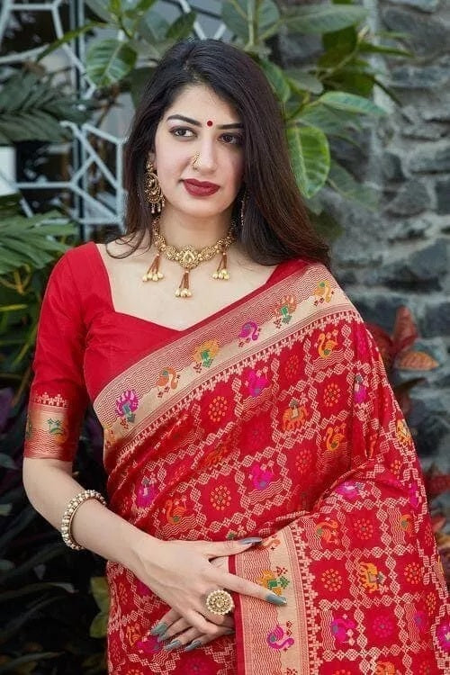 Festive Banarasi Silk Saree with Contrasting Border and Pallu Sari & Blouse