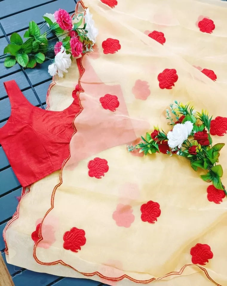 Designer Soft Light Organza Saree,Fancy Wedding Sari & Blouse