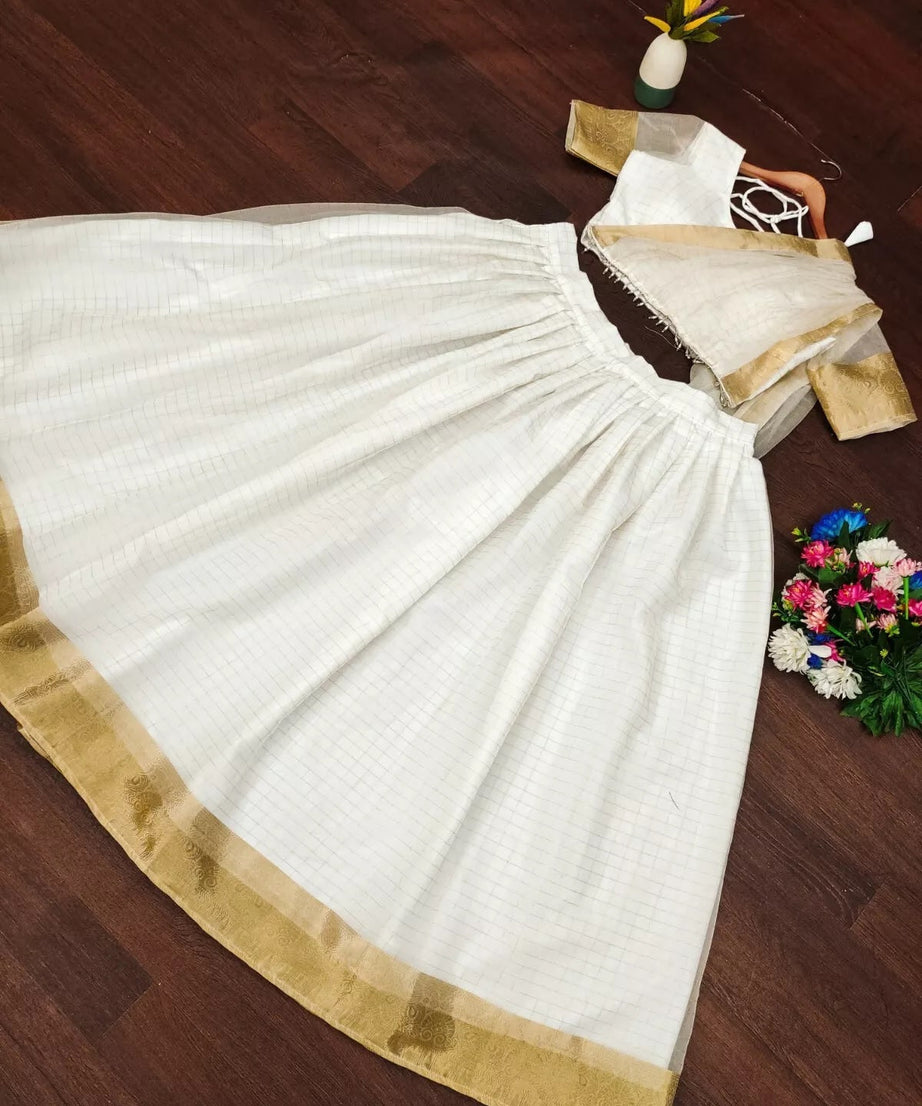 Organza Weaving Chex Lehenga Blouse Dupatta