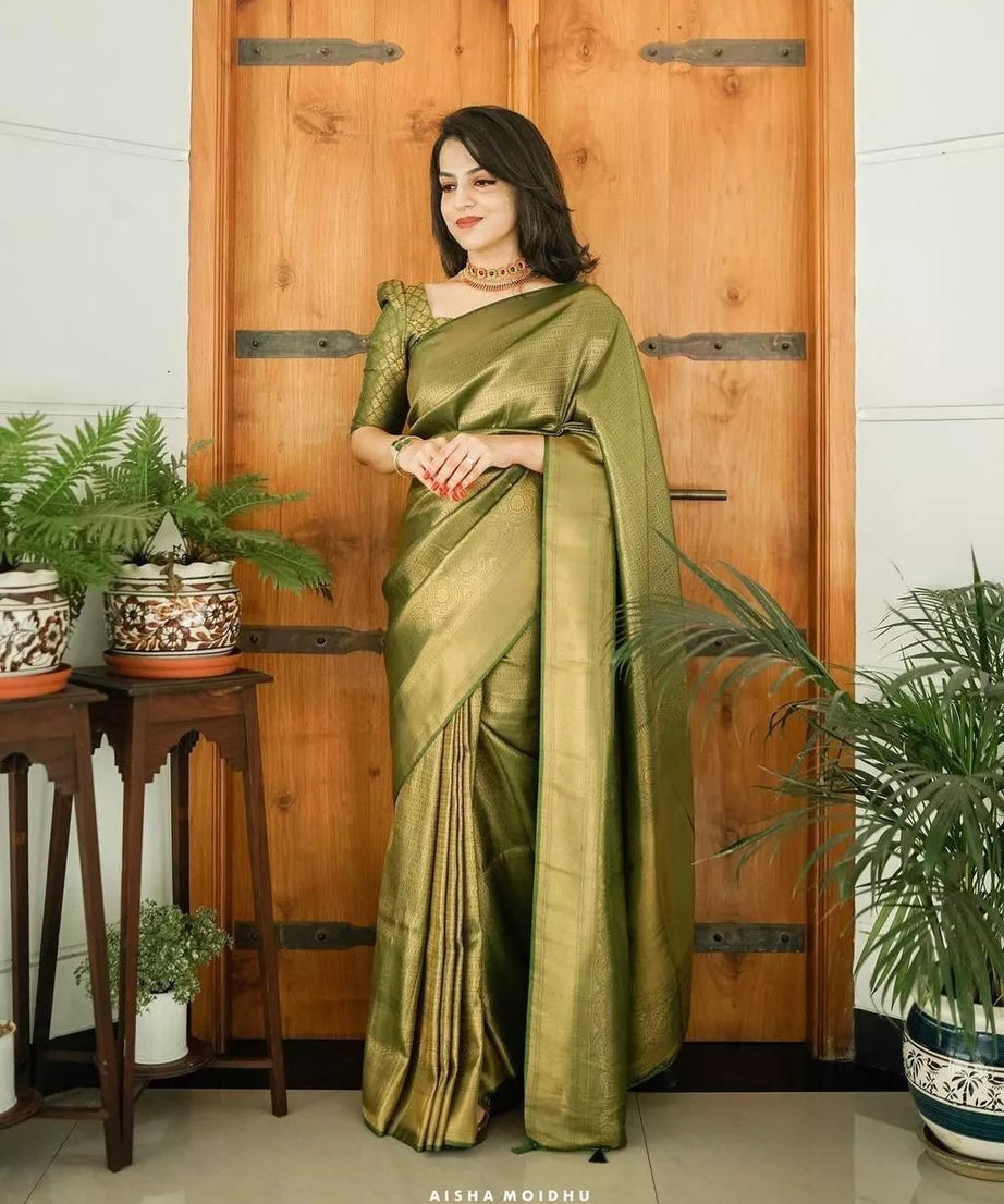 PartyWear Fancy Saree, Ethnic Function Style Sari & Blouse