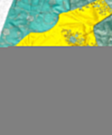 Lichi Silk With Rich Zari & Badla Zari Work Rich Embroidery Lace Saree With Blouse