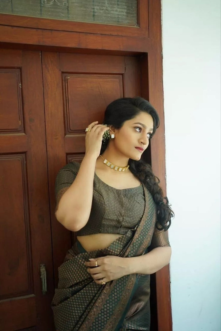 Luxurious Banarasi Silk Saree with Heavy Zari Border Sari & Blouse