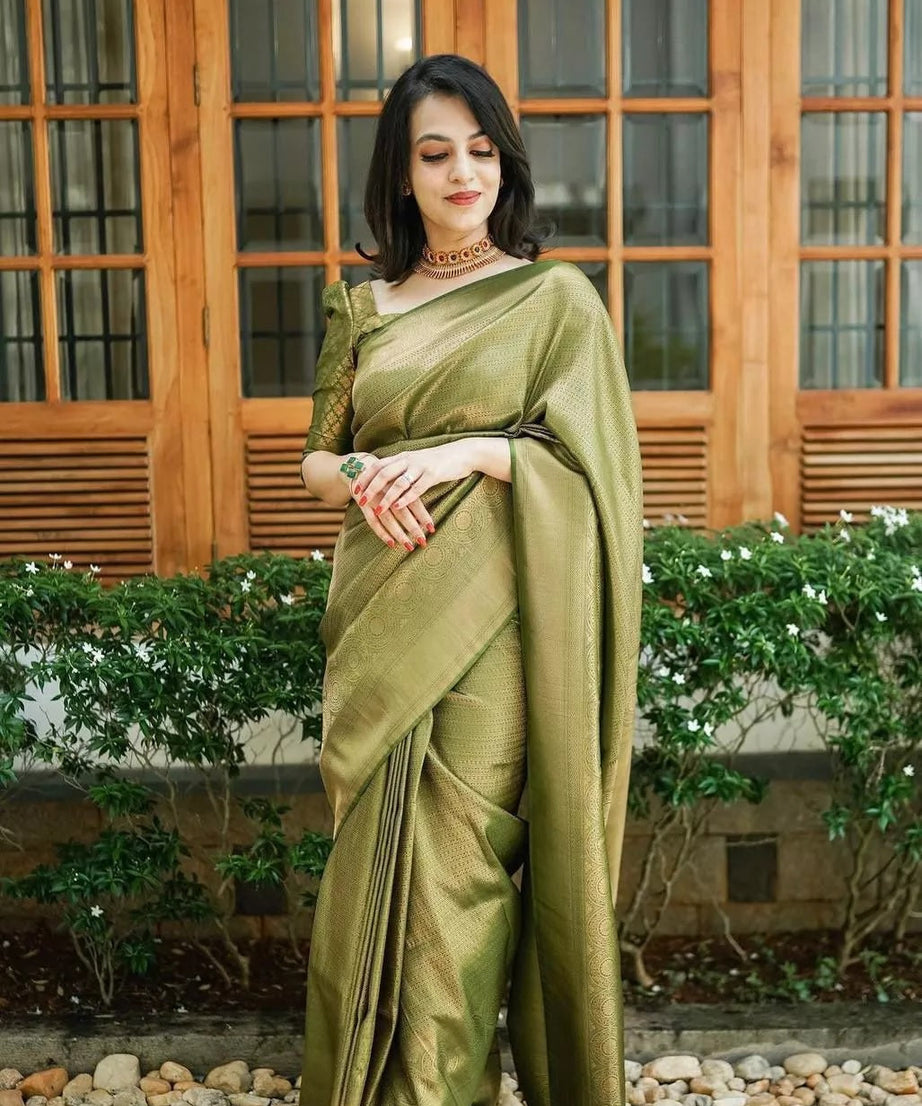 PartyWear Fancy Saree, Ethnic Function Style Sari & Blouse