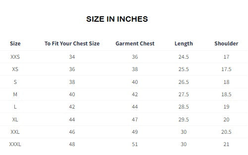 Captain America Desi Vibe T-Shirts