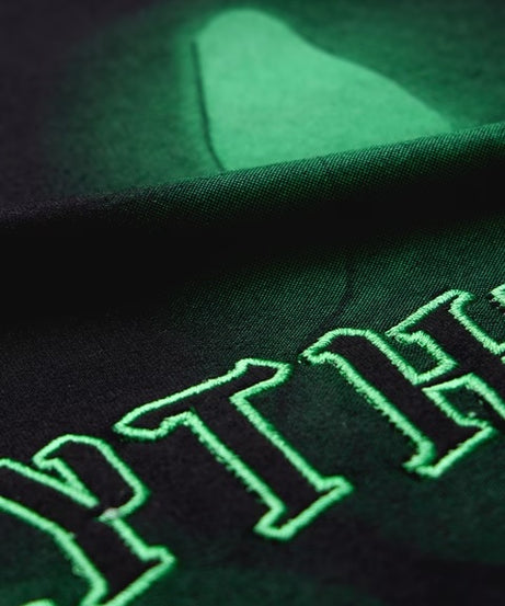 Harry Potter Slytherin Essence Hooded T-Shirts