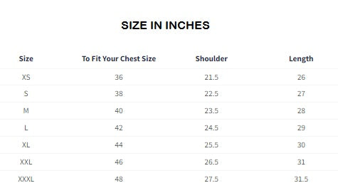 Avatar Aang And Appa Oversized Full Sleeve T-Shirts