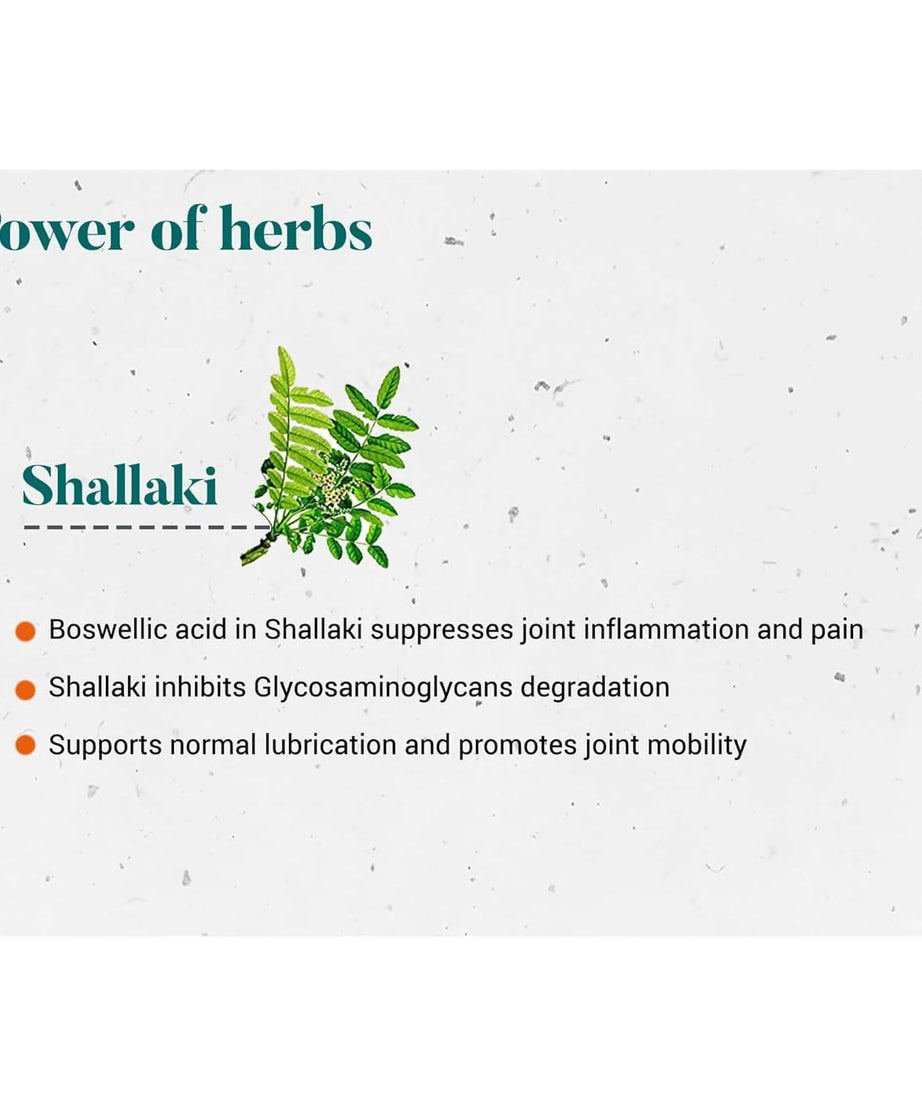 Himalaya Herbals Wellness Shallaki Tablets -60 tabs