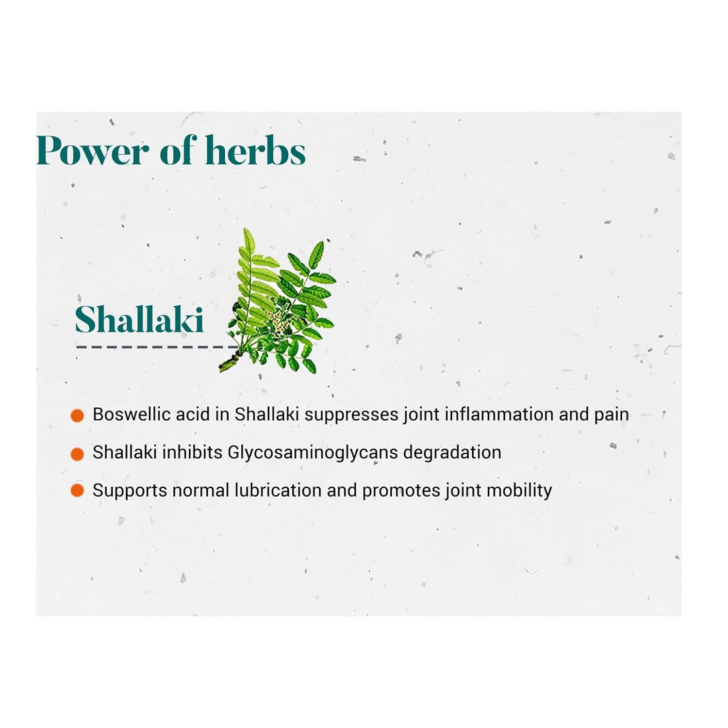 Himalaya Herbals Wellness Shallaki Tablets -60 tabs