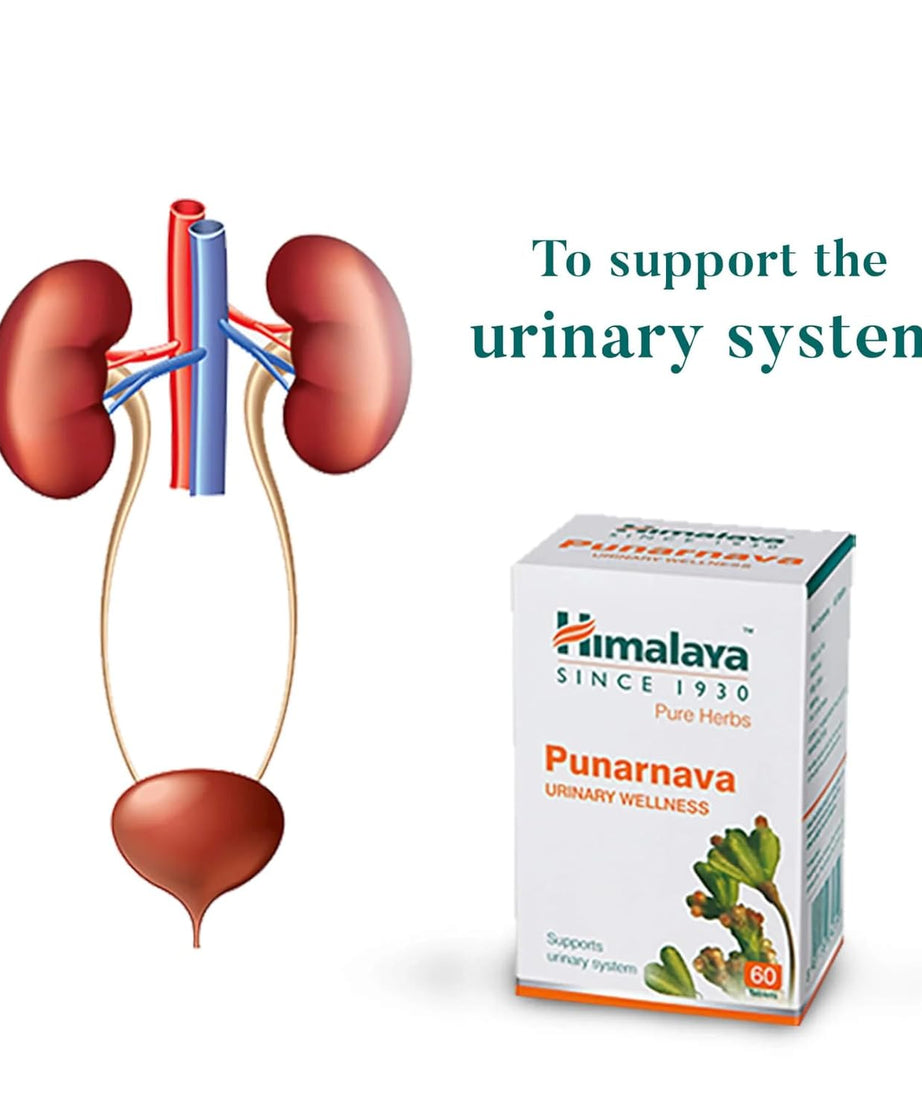 Title:- Himalaya Punarnava Tablets – 60 Count | Herbal Supplement