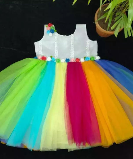 Heavy Net Multi Color Dress