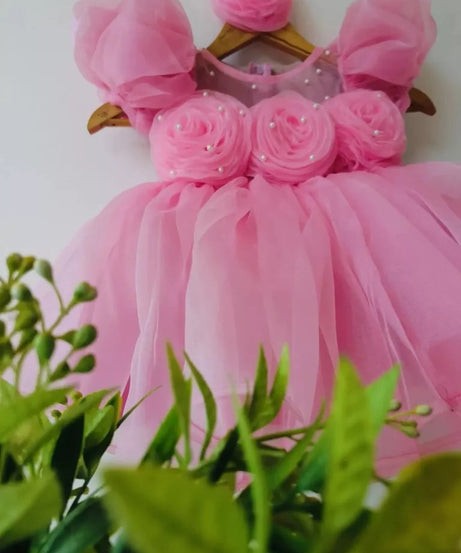 Baby Girls Heavy Organza Frock