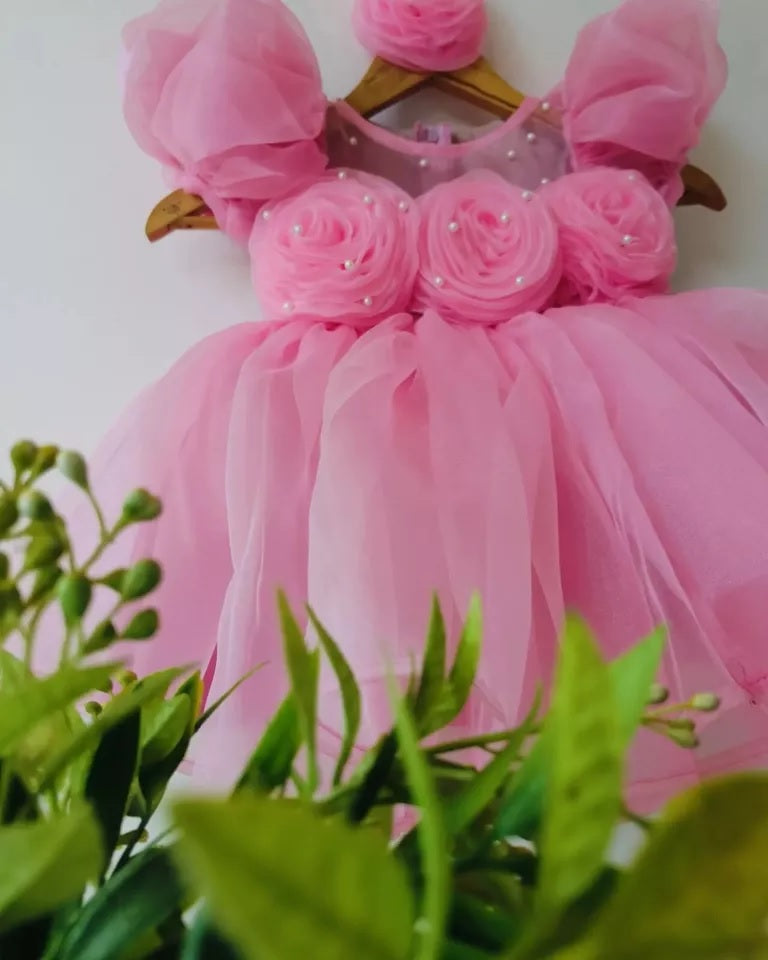 Baby Girls Heavy Organza Frock