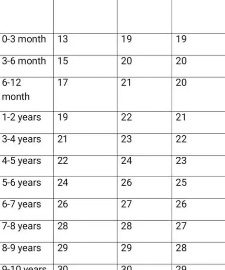 Chic Baby Pink Floral Printed and Butterfly Jacquard Frock