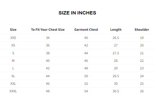 Night Fury Chibi Oversized T-Shirts