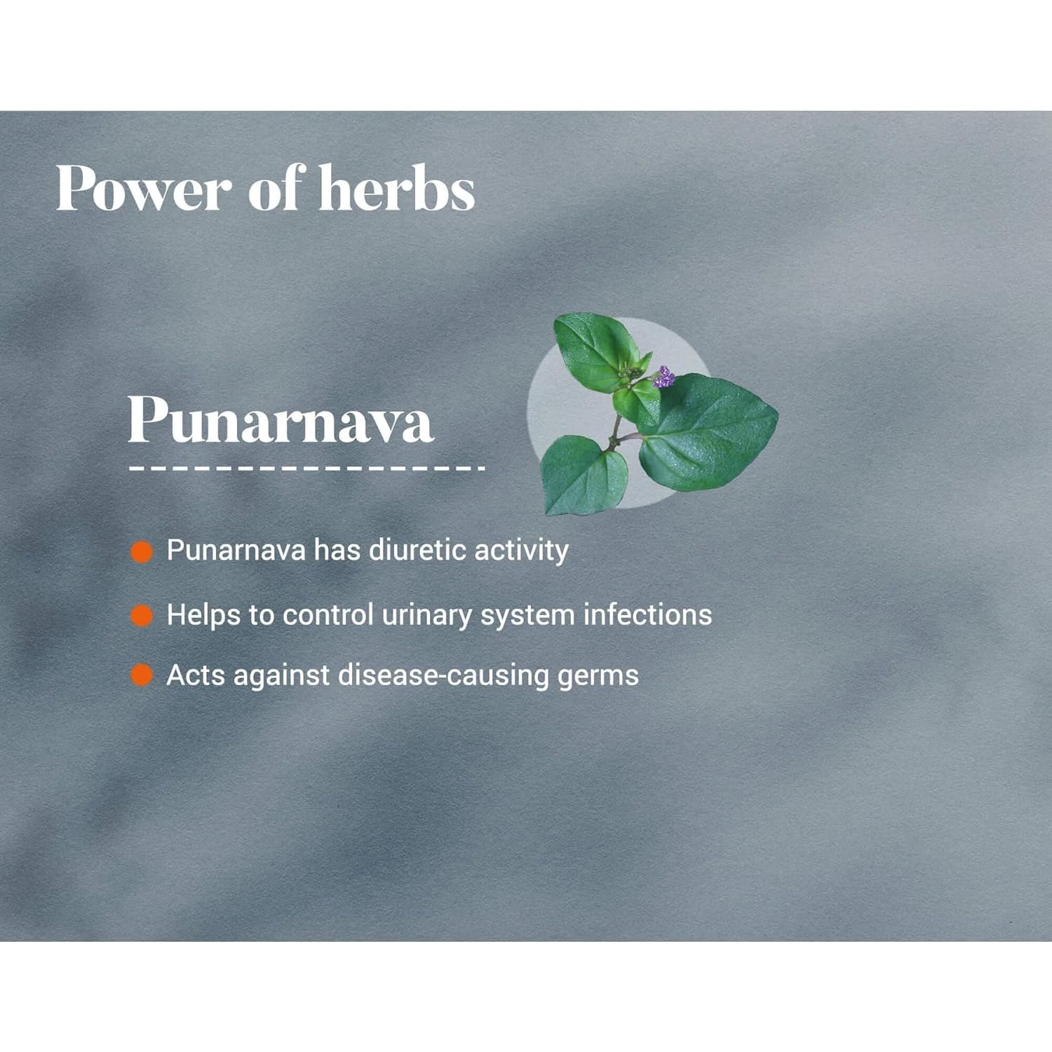 Title:- Himalaya Punarnava Tablets – 60 Count | Herbal Supplement