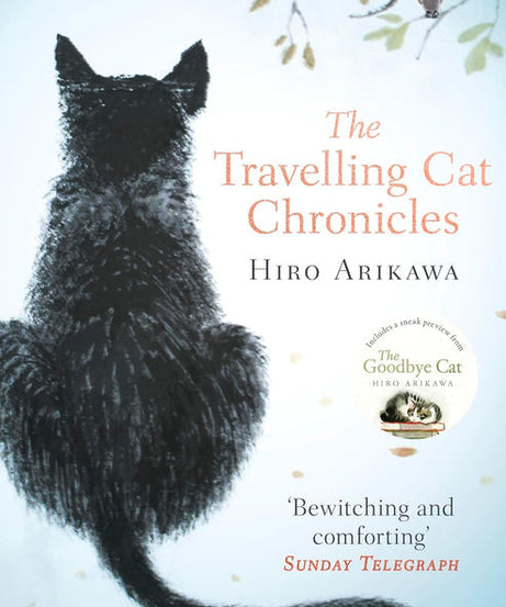 The Travelling Cat Chronicles: Paperback