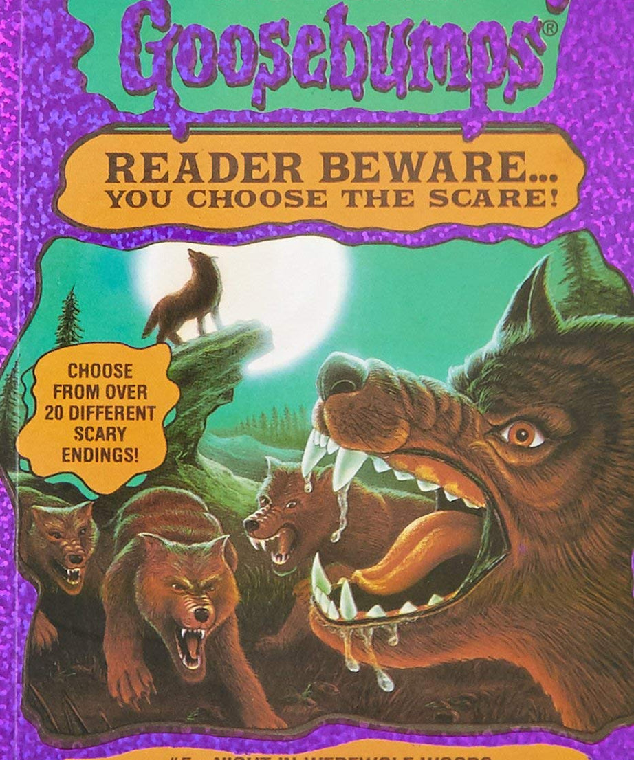 NIGHT IN WEREWOLF WOODS Paperback