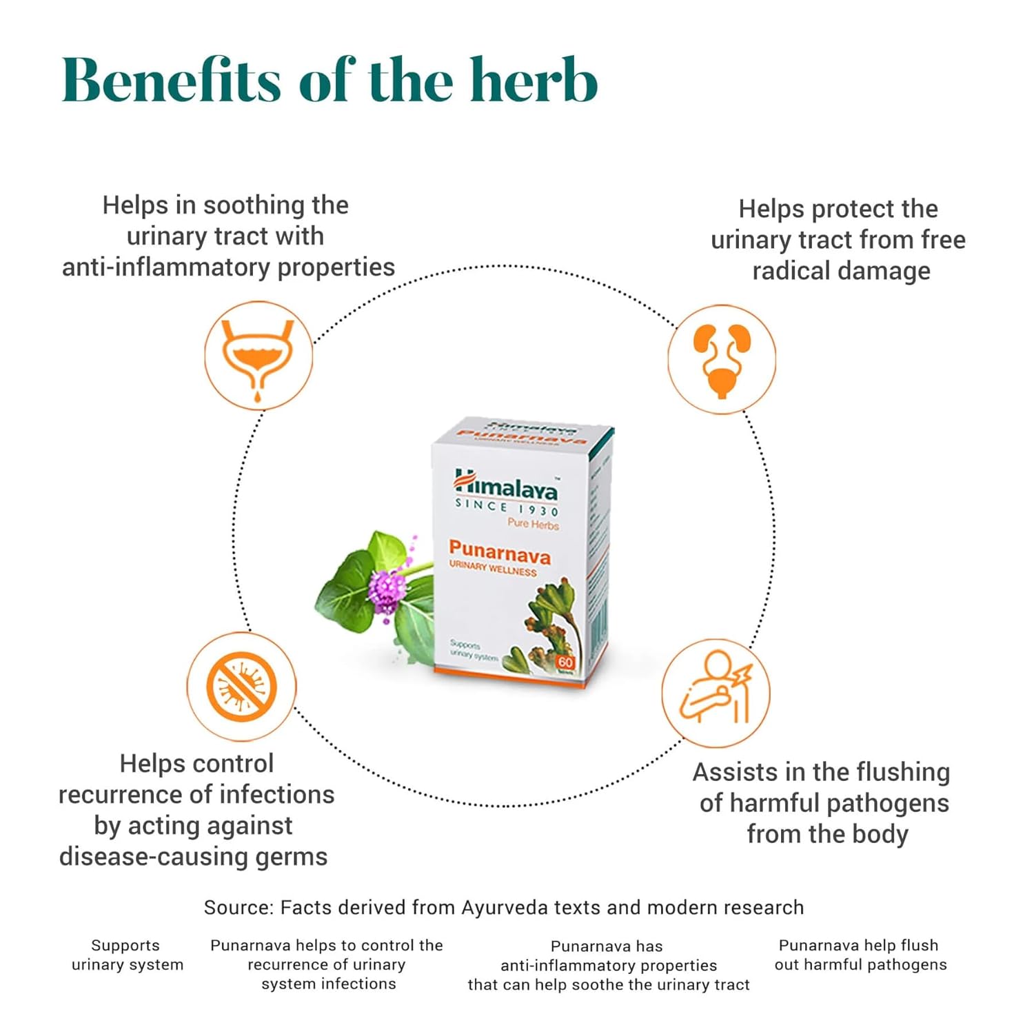 Title:- Himalaya Punarnava Tablets – 60 Count | Herbal Supplement