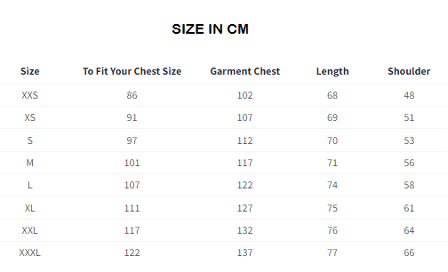 Night Fury Chibi Oversized T-Shirts