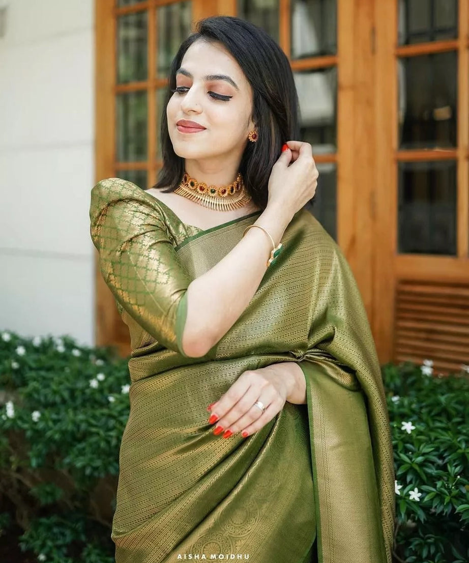 PartyWear Fancy Saree, Ethnic Function Style Sari & Blouse