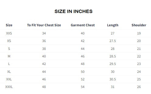 HTTYD Let's Fly Oversized T-Shirts